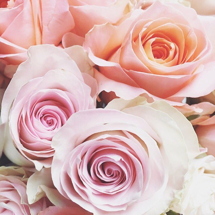 BeautyNine2Five's tweet photo. We’re now posting your beauty jobs for 60 days instead of 30. Get started today! https://t.co/lgtX95MTrx https://t.co/NeLx9gh59F