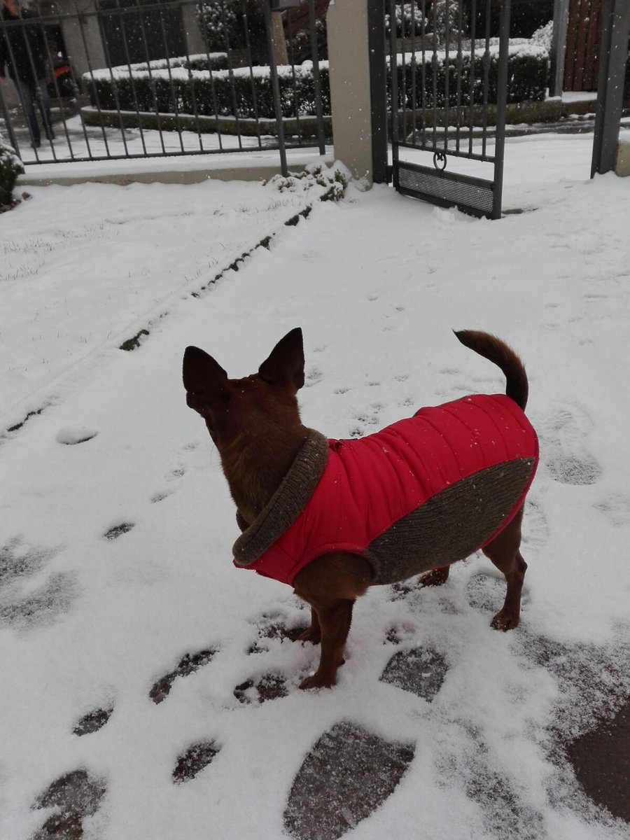 roberta_tasca's tweet photo. A me la neve non mi piace😂😂😂😂 https://t.co/552aip3zU2