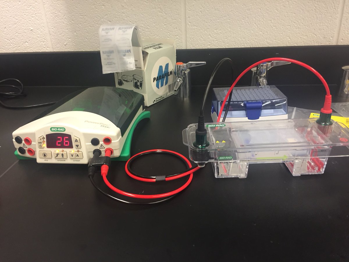 pdf Oscillating Heat Pipes
