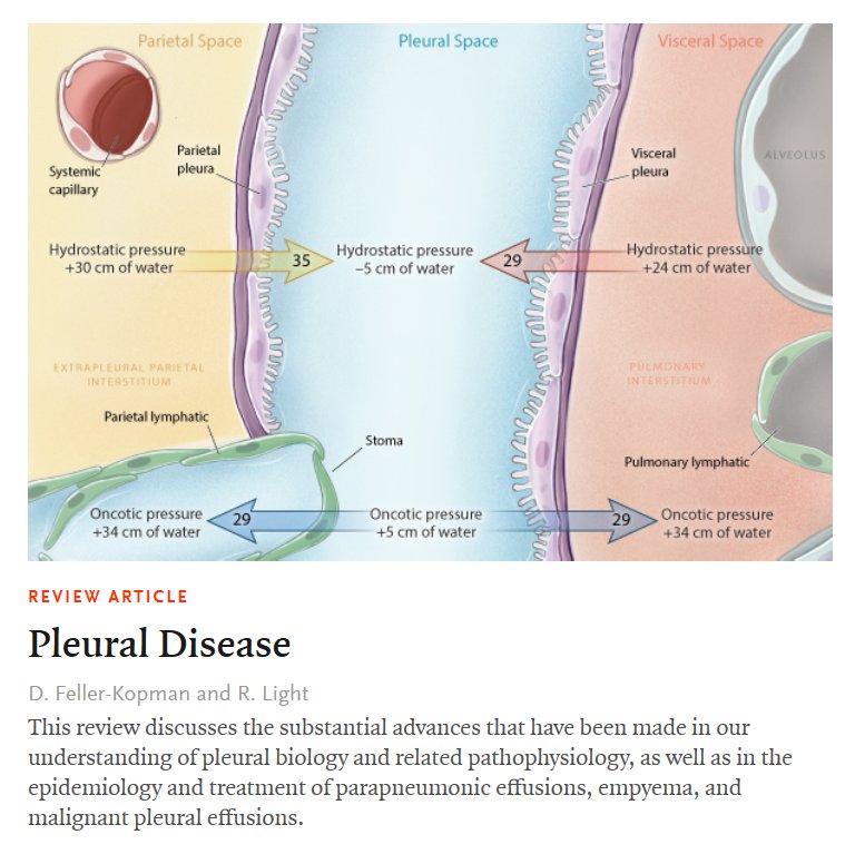 NEJM on Twitter: "The pleural space is defined by the visceral pleura