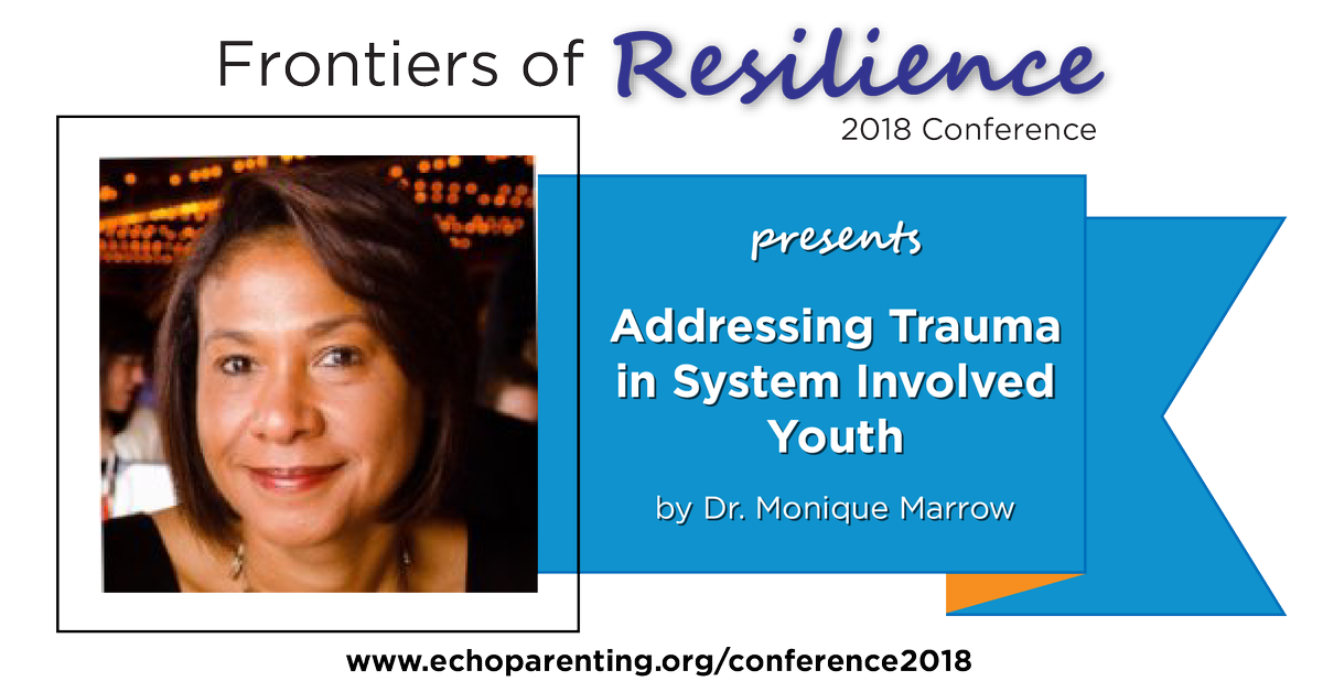 EchoTrainingOrg's tweet image. @drmarrow talks about the "invisible suitcase" of perceptions that guide how we interact with others and see the world. Juvenile justice youth carry a suitcase of thoughts formed by trauma such as: it’s all my fault, no one loves me, I'm no sucker. Hear her speak at #echoconf2018