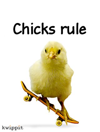 kwippit2's tweet photo. For all you fierce females out there, we’ve got a brand new channel that’s chock-full of glass-ceiling-breaking stickers &amp; GIFs. Download the free Kwippit app at https://t.co/XHlnj7vAYX
#stickers #GIFs #customizable #womenshistorymonth #chicksrule #fiercewomen #girlpower #kwippit https://t.co/4LOTIweckk