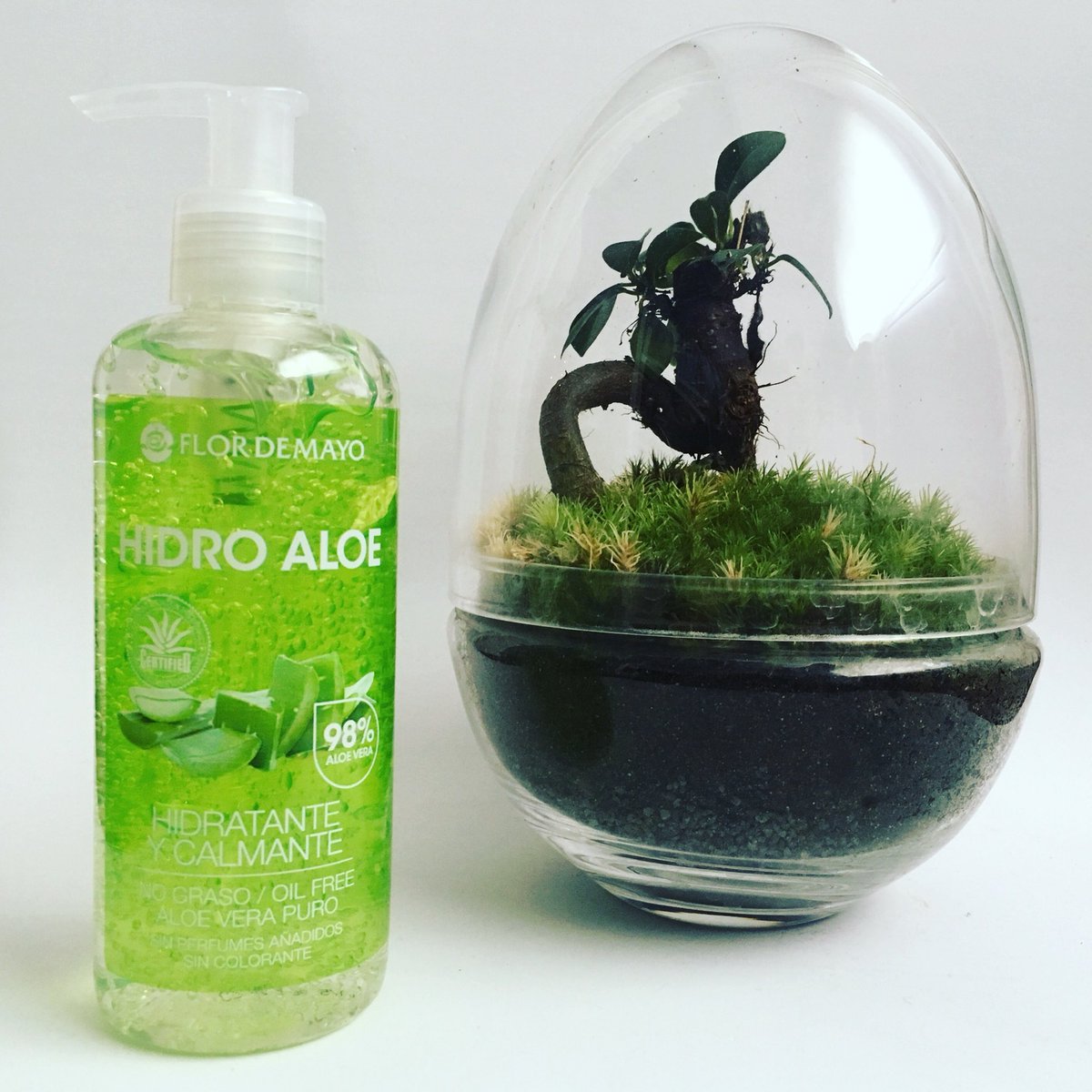FlordeMayo_es's tweet photo. La mayoría conocemos las propiedades tan importantes que nos brinda el aloe vera... y si a eso se sumamos la Hidratación extra que nos brinda el “HidroAloe”... tenemos el kit completo!
Sin perfumes ni colorantes añadidos. 🤗
#flordemayo #aloevera #hidratante #cosmeticanatural https://t.co/uu0lyhEhVm