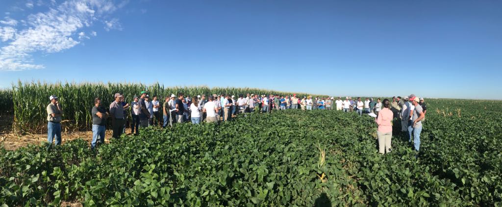 crea_arg's tweet photo. Gran convocatoria para la recorrida de #RegiónCREA Centro: más de 140 personas descubriendo las mejores alternativas para derrotar a las malezas de #Soja y #Maíz 🌾🌽💪💪#ProyectoMalezas #SomosCREA https://t.co/myRqO1e9a7