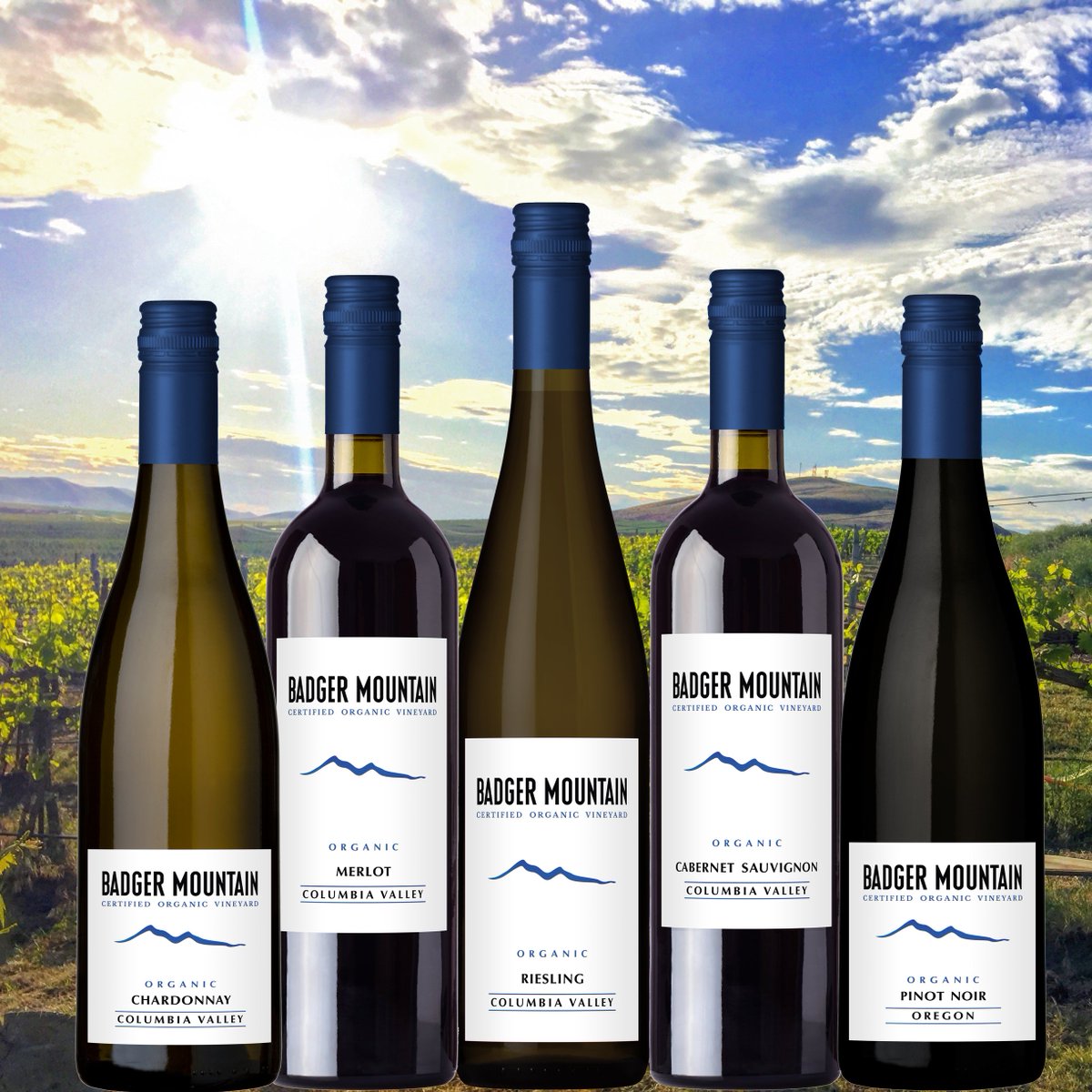 BadgerMtn_PowersWine tweet media