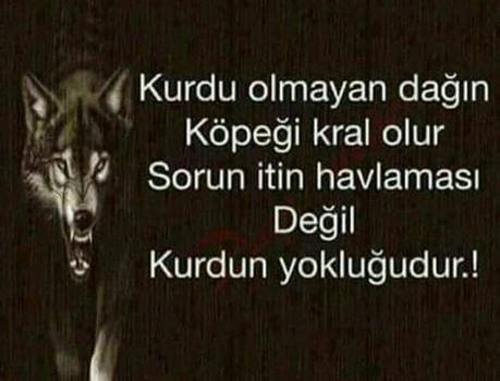 Tuğba (@tuba53123115) on Twitter photo 