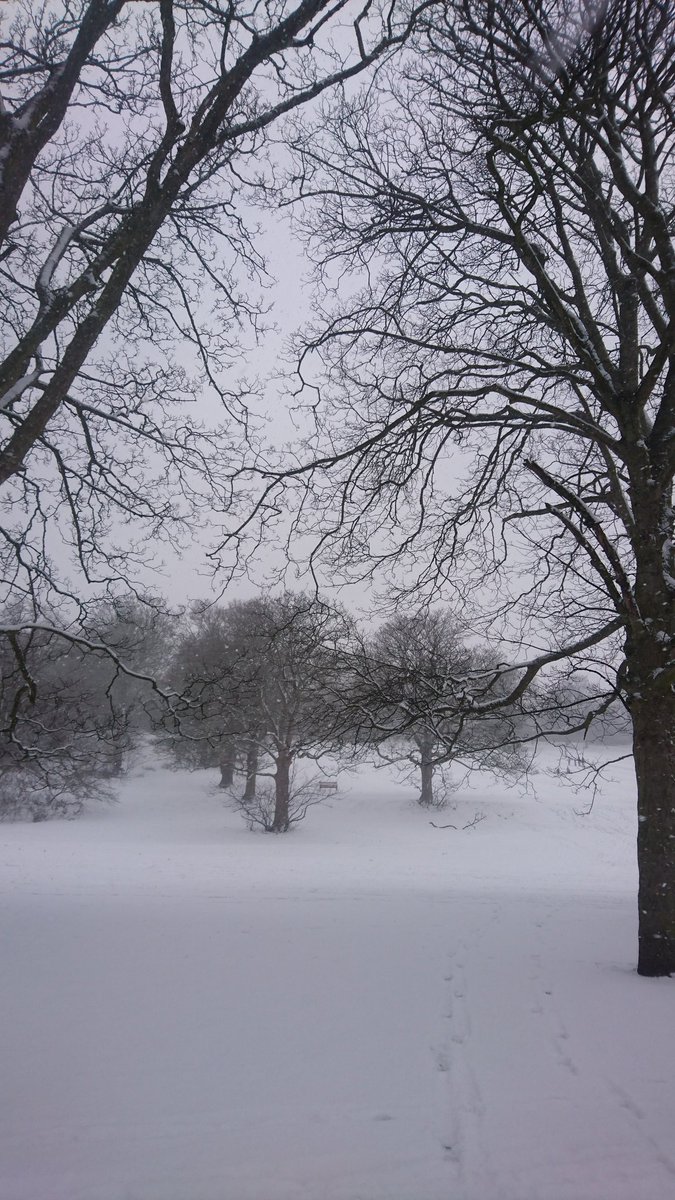 Derby is snow beautiful 😀 #darleypark #thisisderbyshire