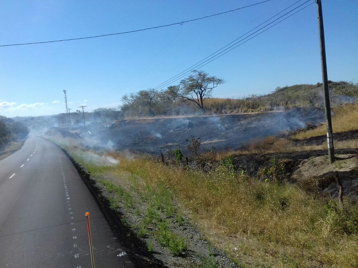 Personal de la Estación de Bomberos de Las Tablas, atienden herbazal incendiado en La Palma de Las Tablas
