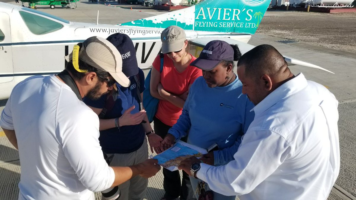 ResilienteCA's tweet photo. With a team of experts, Belize Fisheries Department, @NOAAFisheries, and BelizeMMSN we are on a rescue mission in #Belize to help 30 disoriented  FKWs, a large type of #dolphin to get back out to deeper water. #ResCA #savedolphins https://t.co/u7e4L5lKAB