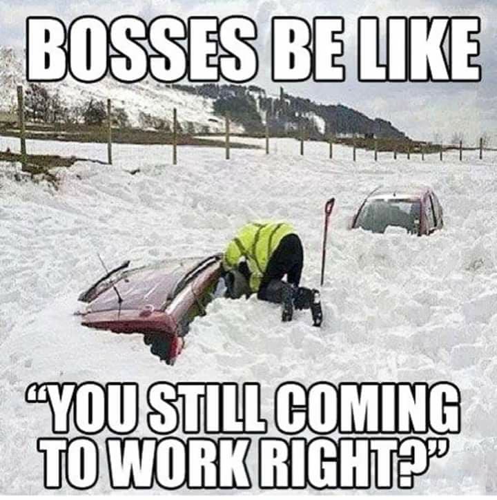 paul_naylor123's tweet photo. @cctv_idiots i know one of these lol https://t.co/5JFphgKgSS
