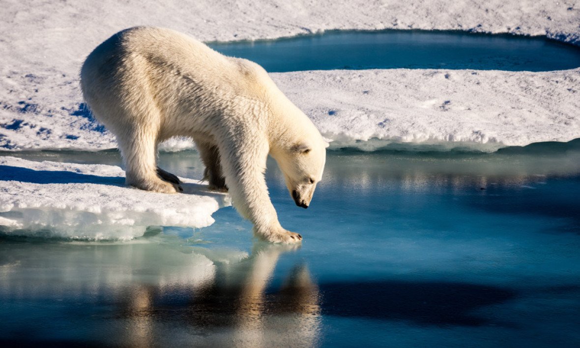 Au pôle Nord, les températures ont atteint jusqu'à 6°C, soit 30-35 de plus que les normales saisonnières.
Un phénomène de plus en plus fréquent ..
Le réchauffement climatique est bien réel.