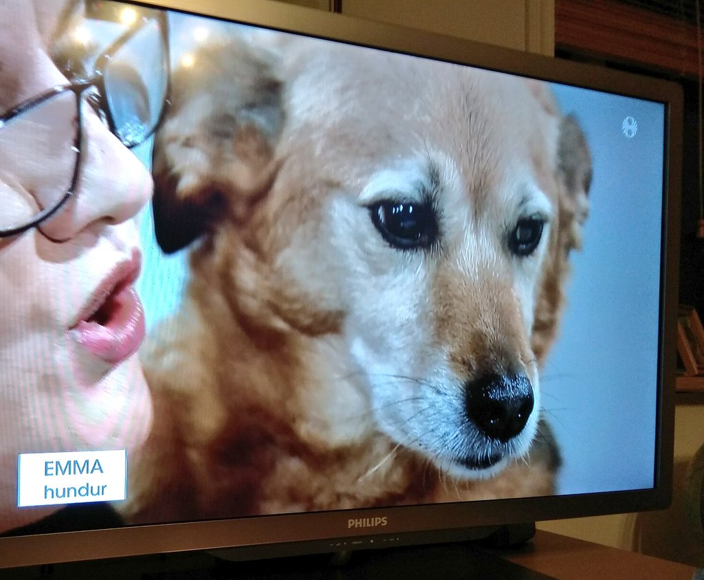 Og ég sem var ekki alveg viss...