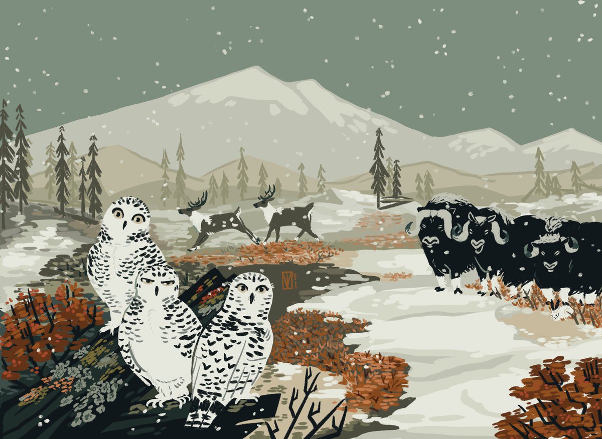 osteophagy's tweet photo. Hey! I'm working on thesis right now, thought I would share a piece I'm happy with from it. The Arctic tundra -- dry, cold deserts, in a sense!
#scientificillustration #biology #tundra #Arcitc https://t.co/xyEI12YSVq