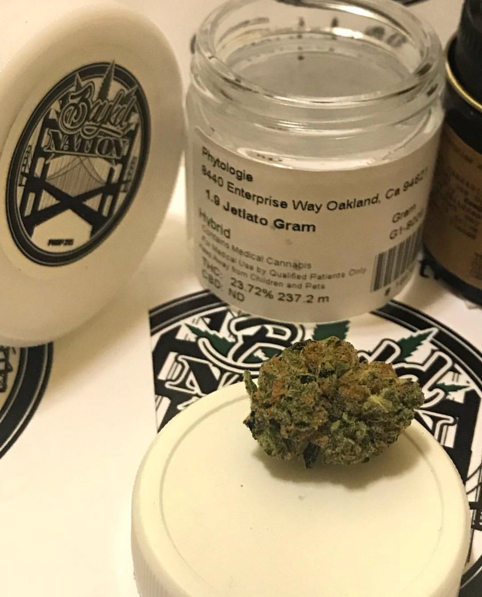 BaykdNation's tweet photo. #BaykdLate with @phytologieoakland , Strain #Jetalto, #bayarea shyt!
🔥🔥💨💨
#BaykdNation #highsociety #dank #cannabis #cannabisnow #hydroponicwarsafterdark #mmj #oakland #merryjane #phytologieoakland https://t.co/TmUVRkLMwb