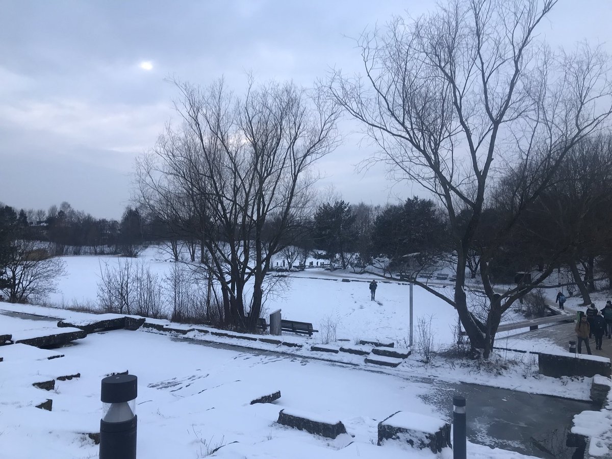 CatharineAquino's tweet photo. Grey #Zürich #irchelpark https://t.co/QywfJxijXY