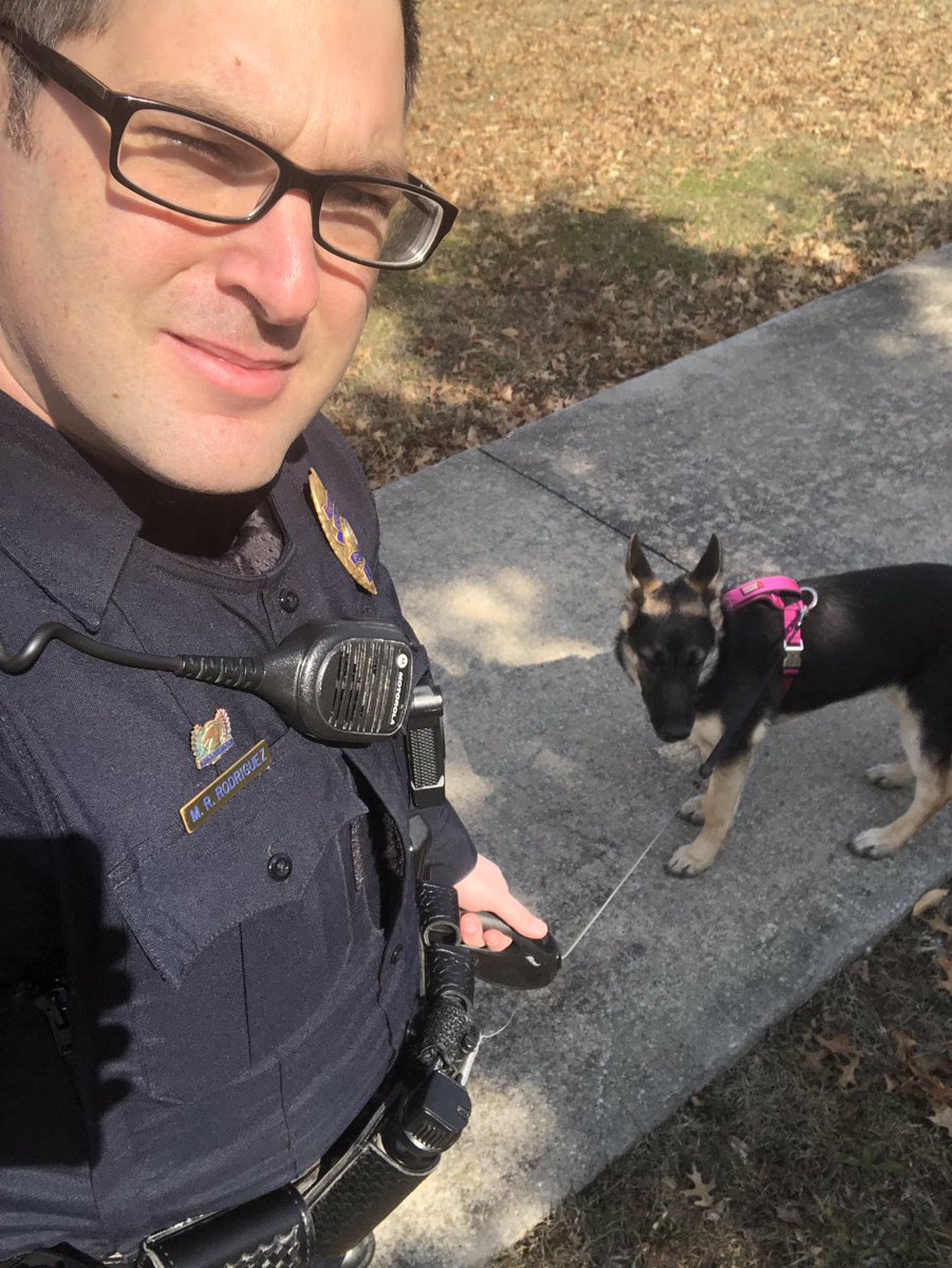 Sweetest little outreach tool I have. North Neighborhood meet my personally owned GSD puppy, Aspen! <a href="/ColumbiaPD/">ColumbiaPD</a>