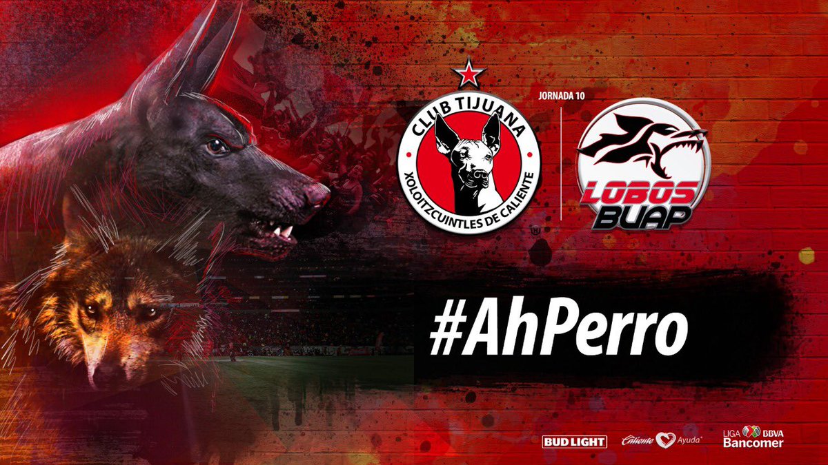 Xolos's tweet photo. Queremos que vivas la pasión del partido ante @LobosBuapMX desde el Mictlán ¿Quieren boletos? Tenemos 2 pases dobles
¡Es muy fácil participar! Solo comenta #AhPerro y comparte esta publicación. El ganador será elegido de forma aleatoria a la 1pm a través de TweetDraw https://t.co/U8cFbZY7ke