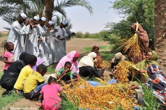 SudaneseCulture's tweet photo. Peaceful typical life of Sudanese people in the villages of Sudan.
#SudaneseCulture #ثقافة_سودانية https://t.co/zhmJxCeOuv