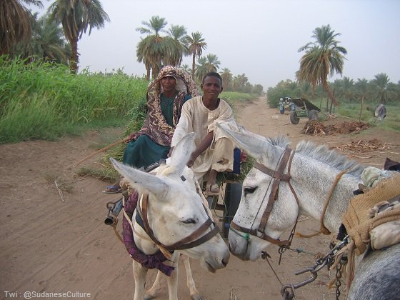 SudaneseCulture's tweet photo. Peaceful typical life of Sudanese people in the villages of Sudan.
#SudaneseCulture #ثقافة_سودانية https://t.co/zhmJxCeOuv