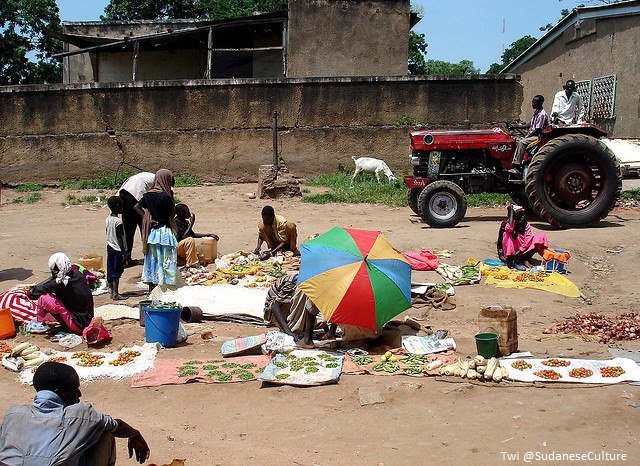 SudaneseCulture's tweet photo. Peaceful typical life of Sudanese people in the villages of Sudan.
#SudaneseCulture #ثقافة_سودانية https://t.co/zhmJxCeOuv