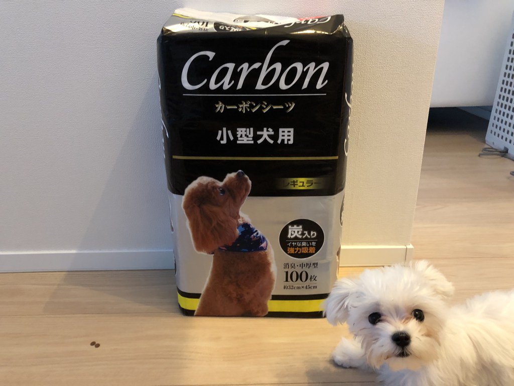 トイレシーツ トイレシーツ