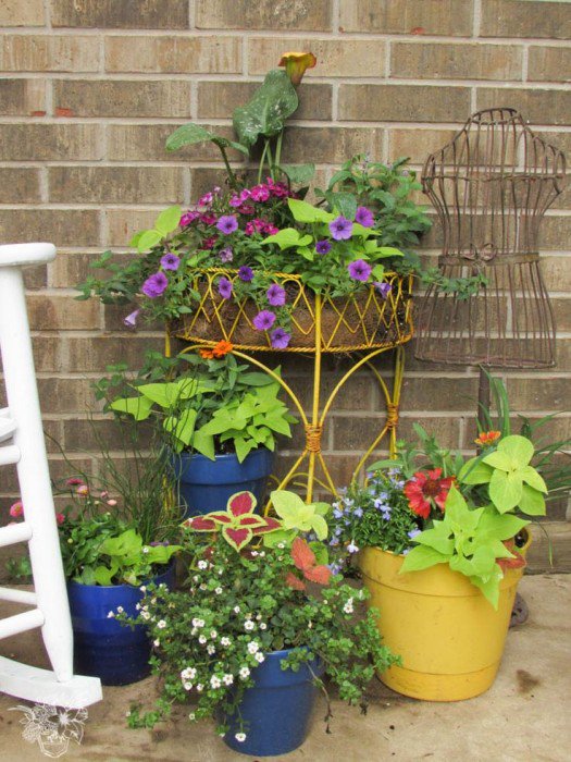 vcreekgarden's tweet photo. Perfectly Composed Colorful Planters - https://t.co/YpgfydAMEZ
#ColorfulPlanters #GardenPlanters #Planter https://t.co/FwcLwuWw6X