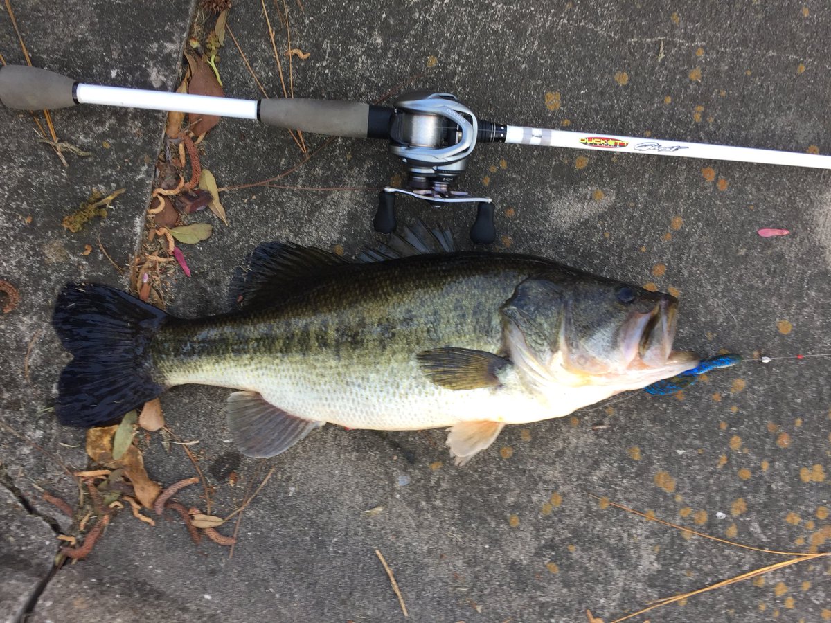 outdoorior's tweet photo. Big Bass Today https://t.co/9CM2F22OPv