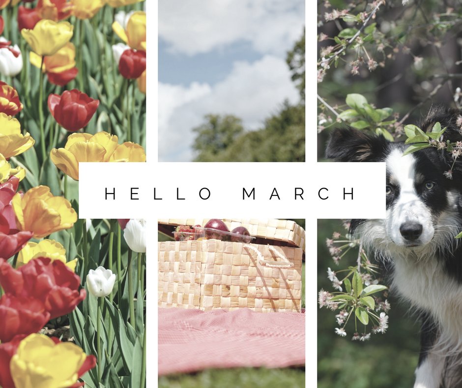 SidDillonCrete's tweet photo. Spring is a season for new beginnings in Crete. Make it memorable! https://t.co/PZcihV57H0