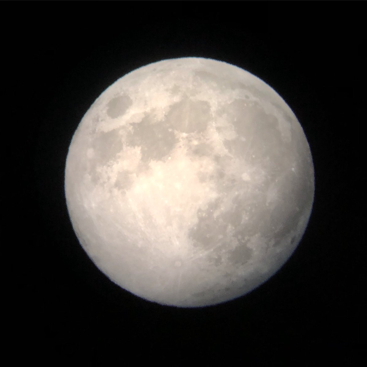 webcamsdemexico's tweet photo. Vía @piliglez: 🔭 01.03.2018 Definitivamente Marzo será un gran mes para todos!!! 🖤 Increíble luna llena en CDMX 🌕https://t.co/p5nmAUaDMI