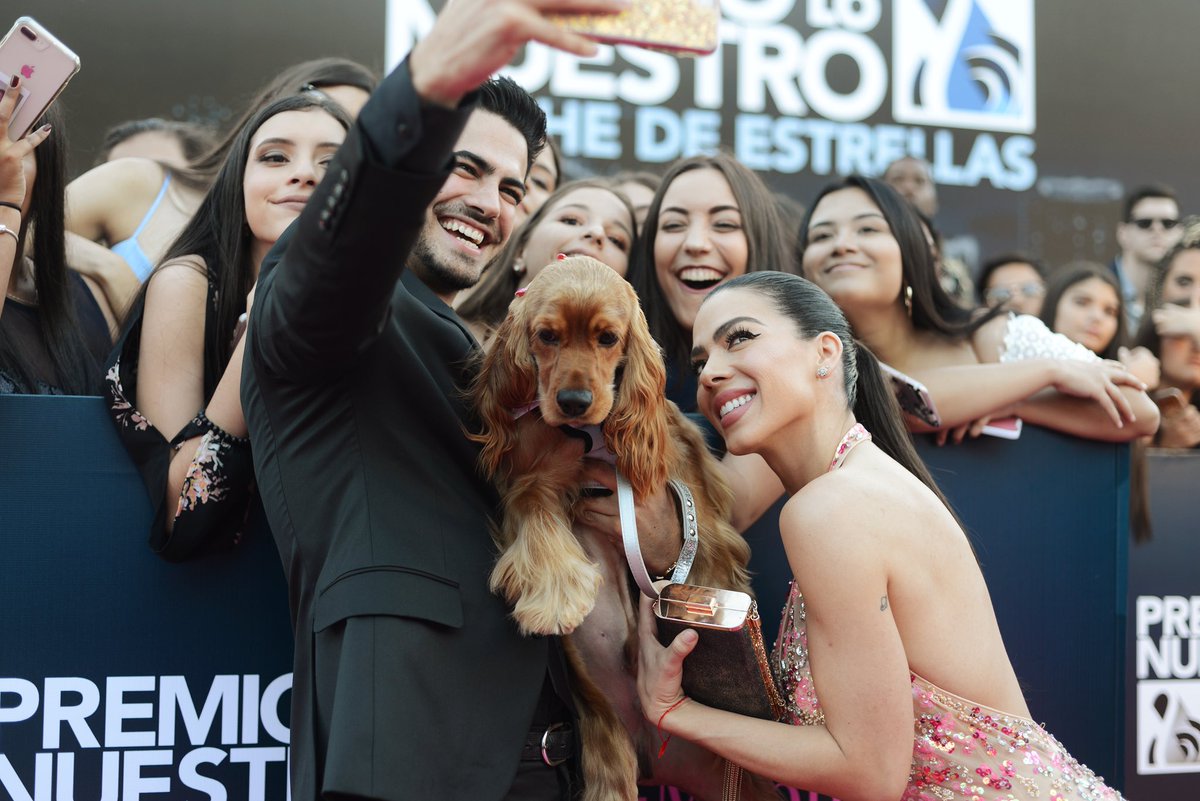 Just a week ago, our dogs took over the magenta carpet at Premio Lo Nuestro. The best highlight? All of them were adopted! But we still have more waiting for a new home. Visit TheDogCarpet.com to adopt and to see pics from #PLN30.
#tbt
#adoptdontshop
#thedogcarpet