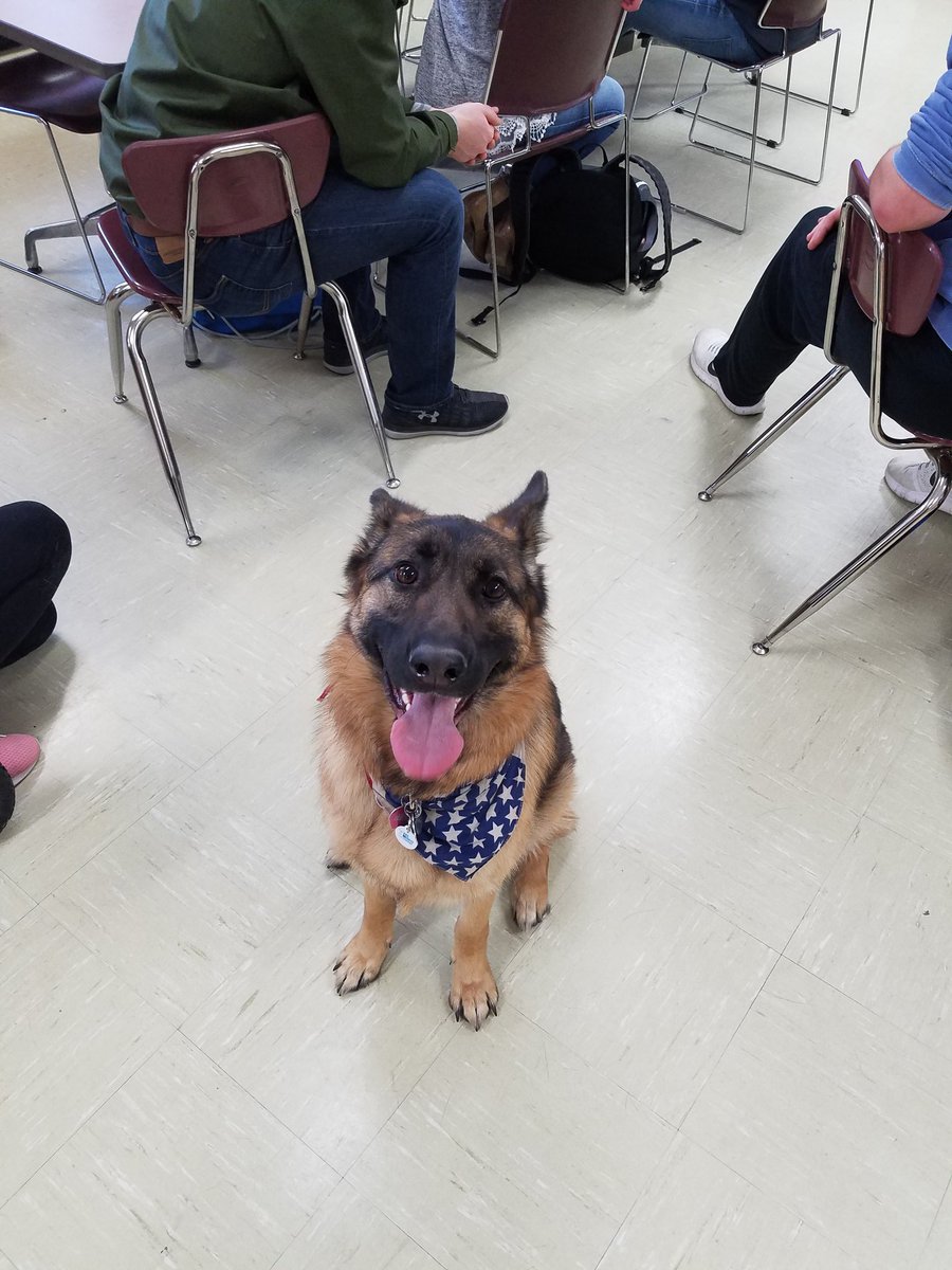 DR_AgEdFFA's tweet photo. Companion Animal Sci Ss had a BLAST with Ms. Heskin and her German Shepard "Holly" as they learned more about body language with canines. #WarriorWork317 #GermanShepherd #woof https://t.co/lauqdHpMdG