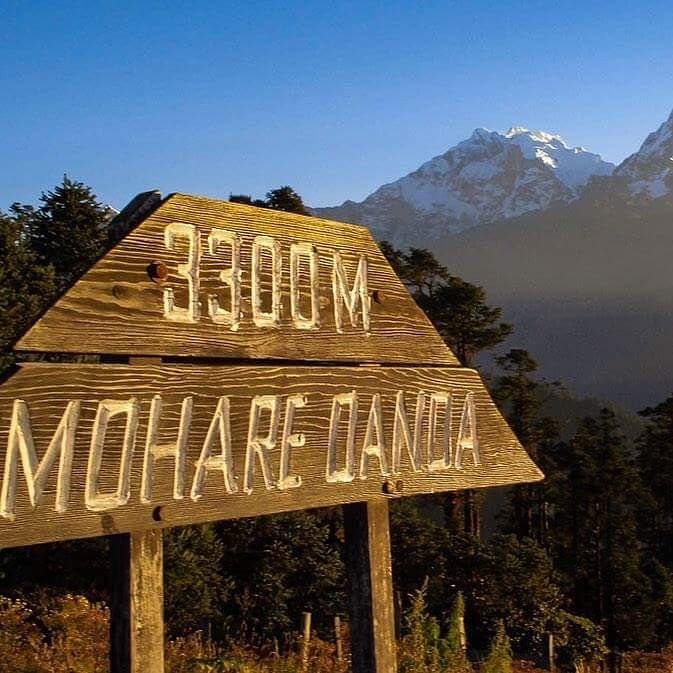 royalmt_nepal's tweet photo. #MohareDanda Trek is one of the most popular short community eco trail trekking destinations in Nepal around the Annapurna-Dhaulagiri Himalayan Range which is administered by Annapurna conservation Area.
Photo: Ricarda Travel
#ExploreNepal #InsideHimalayas travel #nepal8thwonder https://t.co/6mGW1IT2Oq