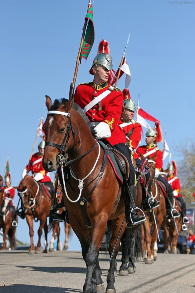 ClassicalTory's tweet photo. Lord Strathcona's Horse (Royal Canadians) is an armoured regiment of the Canadian Army.  #DefenceOfTheRealm #CommonwealthRealm https://t.co/Ex05sVszO5