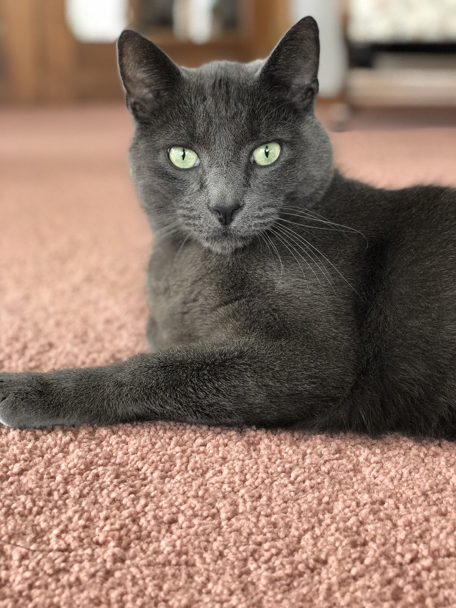 Jhannul's tweet photo. Look at this STUD. https://t.co/us39XZgYEG