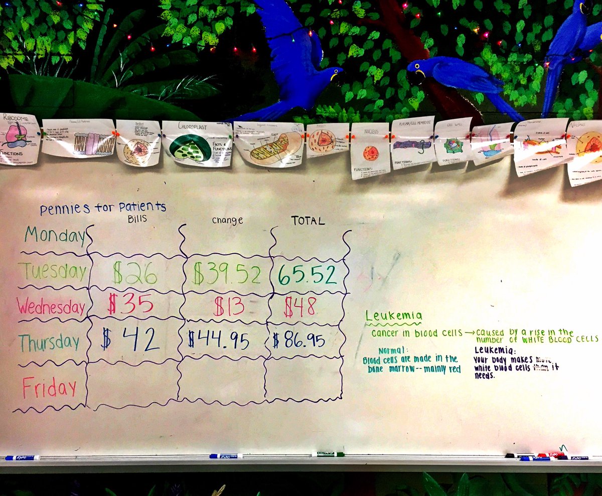 juliartolson's tweet photo. YES YOU ARE READING THOSE NUMBERS CORRECTLY! My students raised $86.95 just today for our pennies for patients fundraiser! All proceeds go to leukemia and lymphoma research. #everydayRM #RMscience #bestjobever #beststudentsever https://t.co/37k9cuXRGT