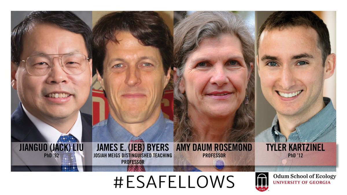 UGAEcology's tweet photo. Congratulations to our faculty members Amy Rosemond and Jeb Byers @ByersEcologyLab and graduates Jack Liu @michiganstateu and Tyler Kartzinel, for being elected Fellows of the Ecological Society of America @ESA_org ! https://t.co/RH4UTP5Swj #ESAFellow https://t.co/xVLA0k3QRR