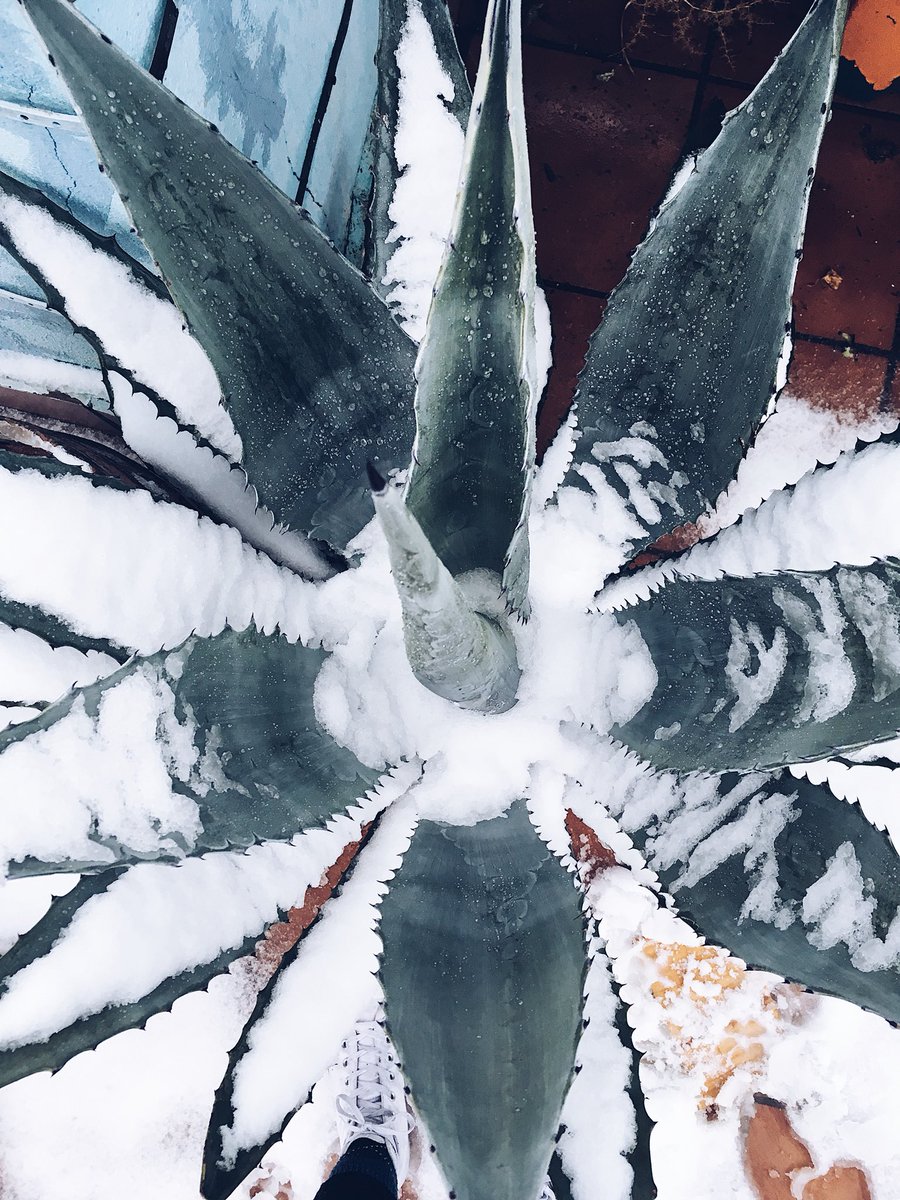 Ines_alons's tweet photo. ❄️❄️ https://t.co/xW7zsCZgbl