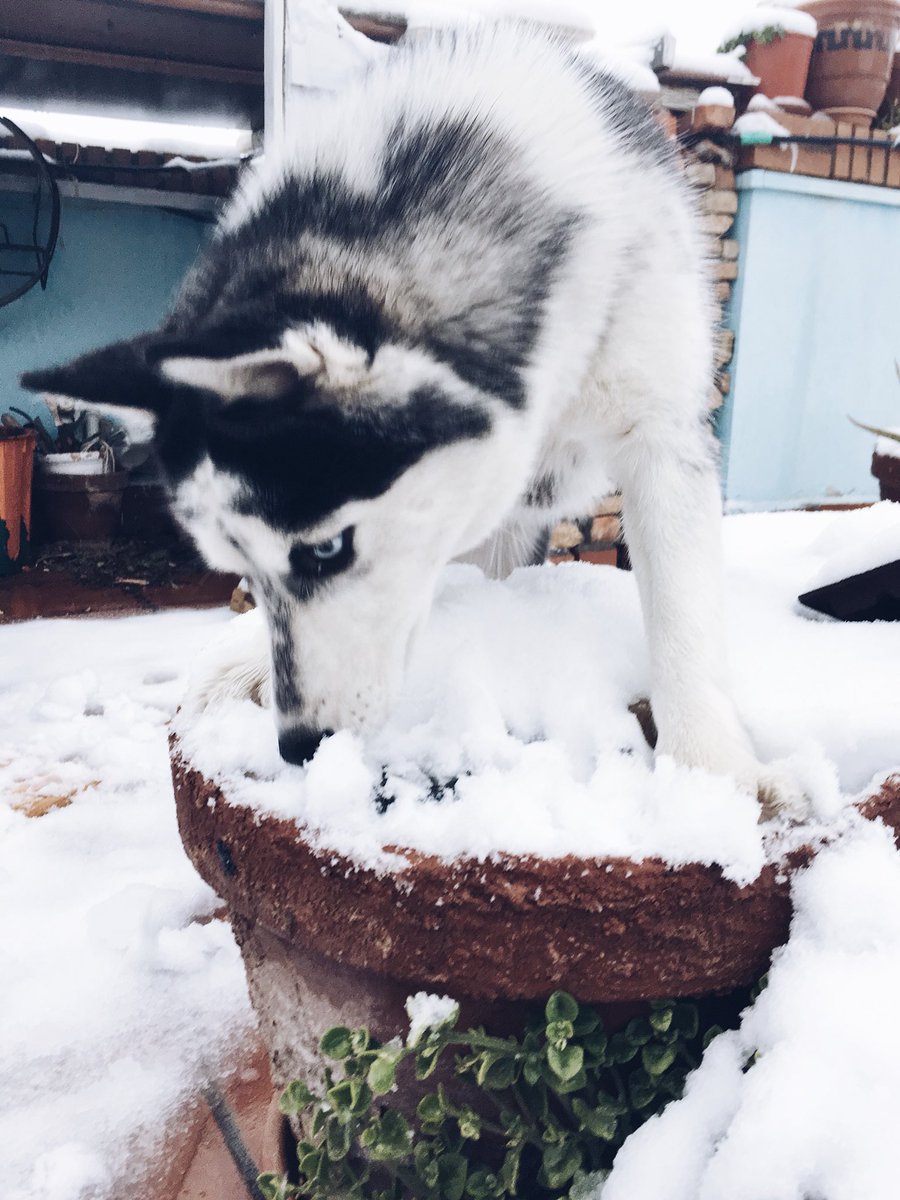 Ines_alons's tweet photo. ❄️❄️ https://t.co/xW7zsCZgbl