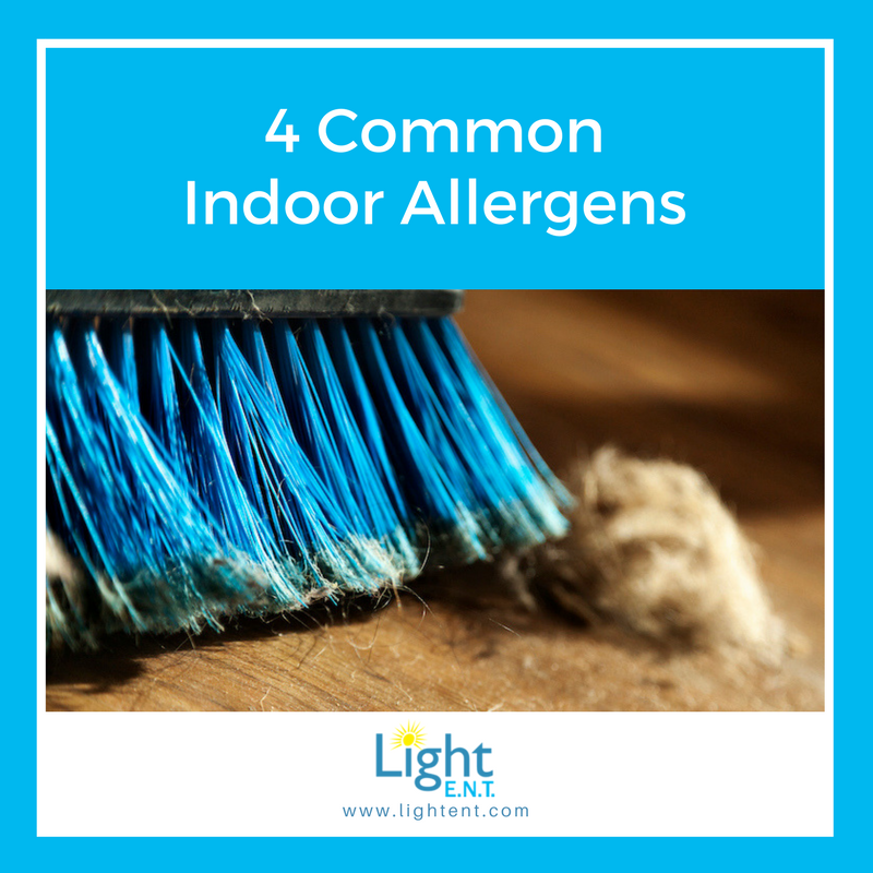 JoshuaLightMD's tweet photo. 4 Common Indoor Allergens https://t.co/WDEmXmm1N8 #LightENT #allergy #allergens https://t.co/9ecPDfOAO2