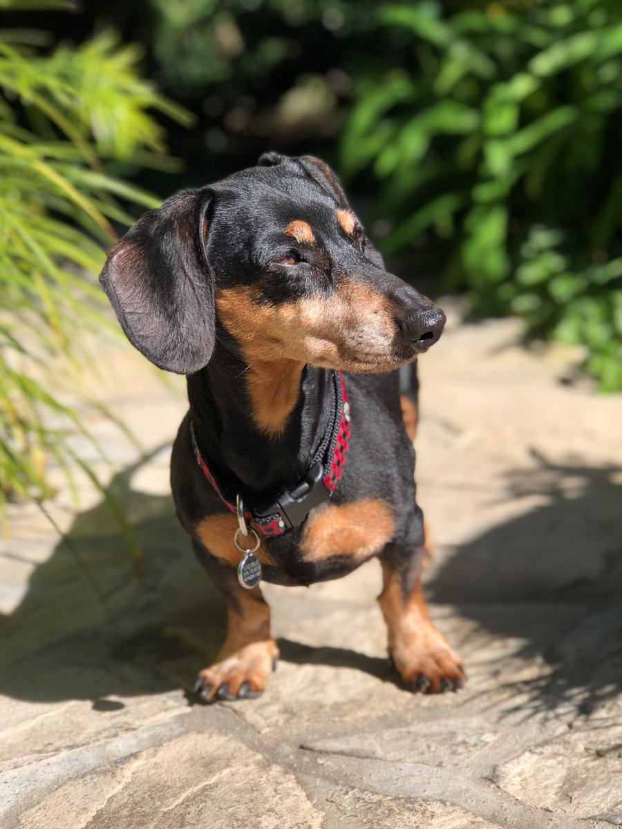 Always on patrol 👊