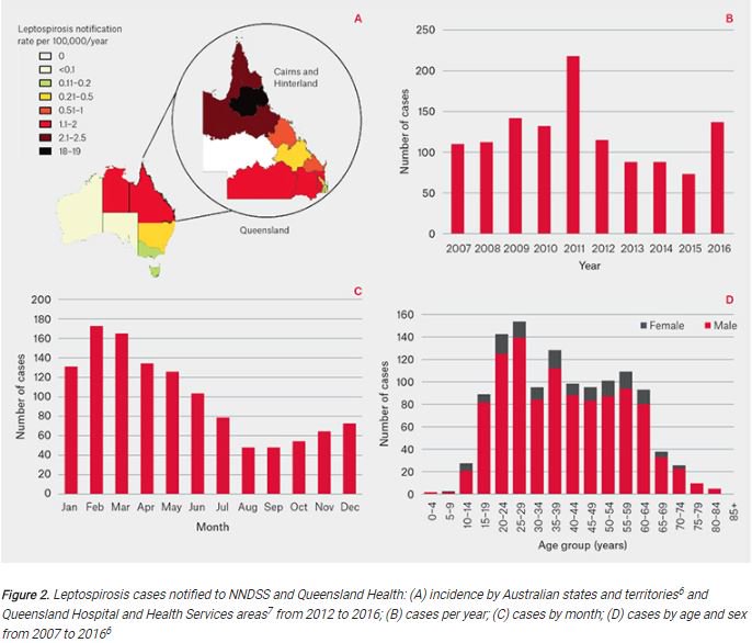AJofGP's tweet photo. Far North QLD and NT have the highest incidence of #leptospirosis in Australia, and are amongst some of the highest risk areas in developed countries https://t.co/RJG6GolMQz https://t.co/tTey6XQHKG
