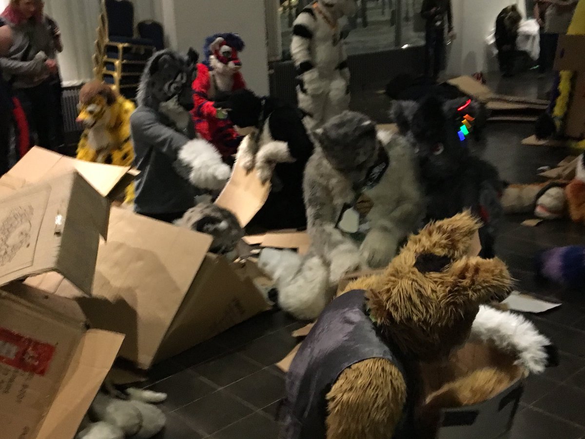 blepsnep's tweet photo. Total Carnage!!!
#catsnboxes #nfc2018 https://t.co/gY2Le5NBbM