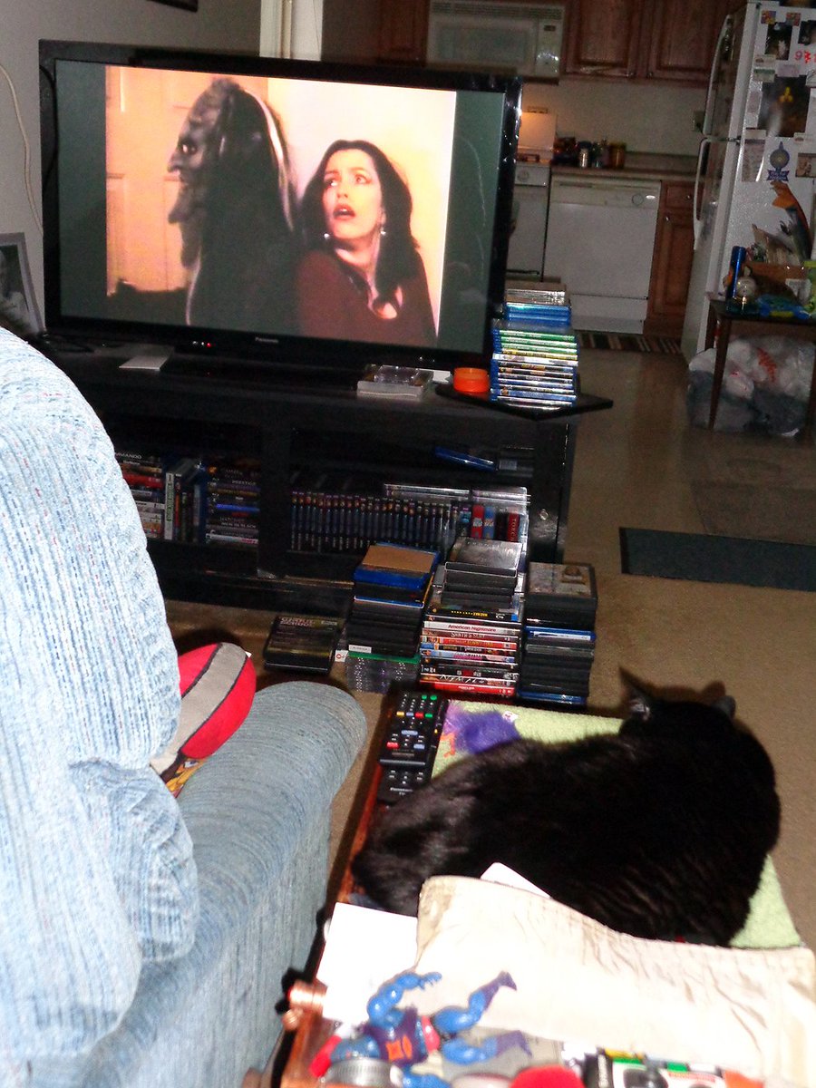 <a href="/DebbieRochon/">Debbie Rochon</a> <a href="/Official_DMart/">D-Mart</a> IT'S OFFICIAL!!! Jet celebrated his 4-year anniversary with me!! On the 27th....it was JET'S OFFICIAL ADOPTION DAY!!

[Now he's gotta watch some GHOUL SCHOOL with me!! Err somefeene!?] 👍☺️🐯🦁🐅 #CatsOfTwitter #blackcats #mycat