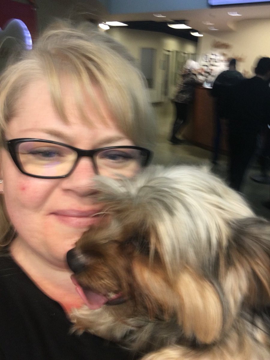 RoShaddox's tweet photo. Don’t miss the #moment Jamie Anderson gets Olive back, after the lost Yorkie was snatched from the animal shelter on Tues. #OnlyonFox40 @ 5. https://t.co/ibhSSoMr1T