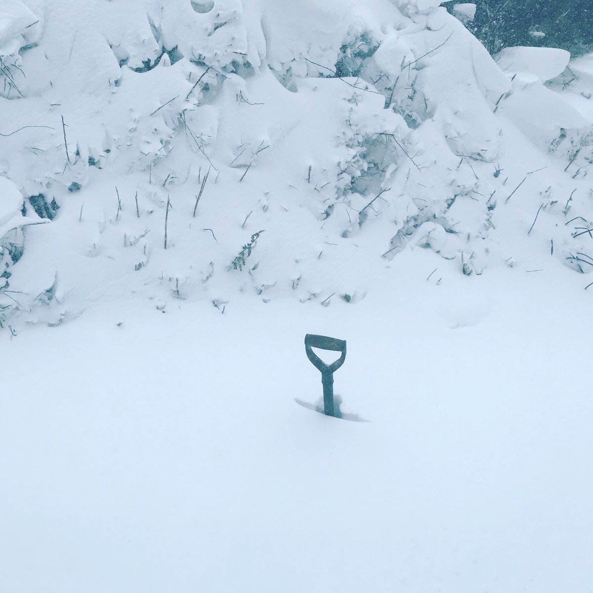 journeysendinn's tweet photo. When you look for the shovel to dig your self out @journeysendinn @PlymouthHerald #SNOWMAGGEDON #ringmore #devonsnow #cutoff https://t.co/sSYxjpTrLn