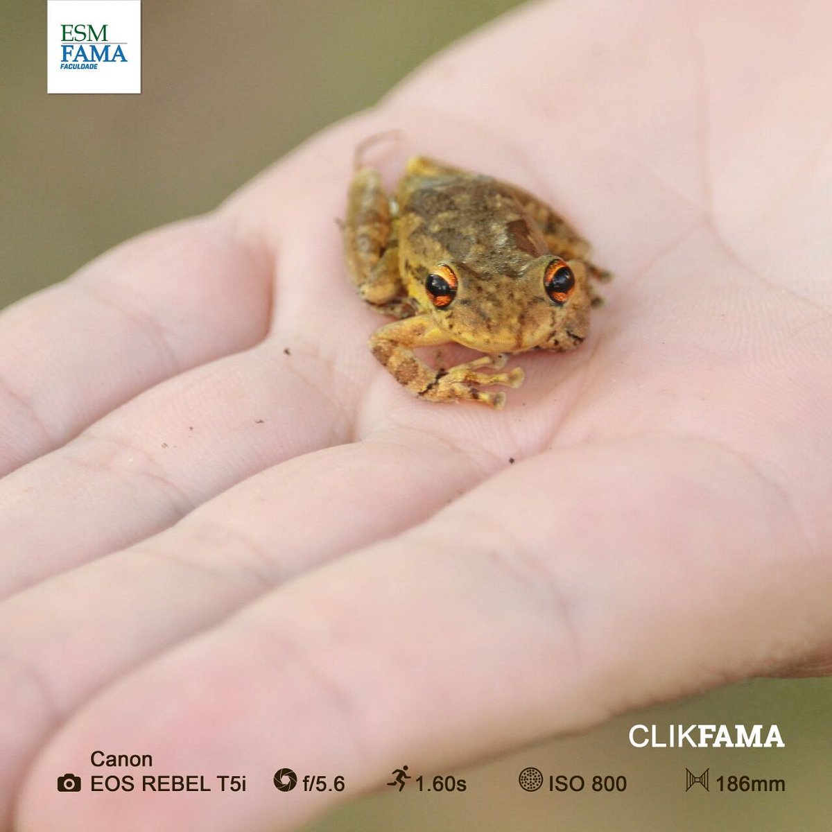 esmfama's tweet photo. ClickFAMA 📸
Foto do aluno @lekscoelho do 5ª período de  Publicidade. https://t.co/HOIyxK9chA