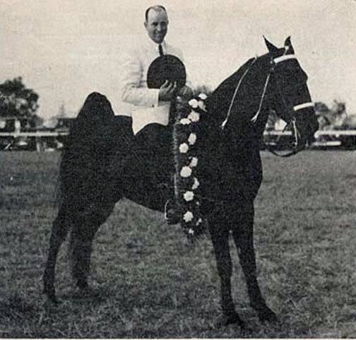 TWHAC's tweet photo. #TBT to the 1943 Tennessee Walking Horse World Grand Champion "Black Angel." #tennesseewalkinghorse #tennesseewalker #TWHNC https://t.co/iM9BSvNZAf