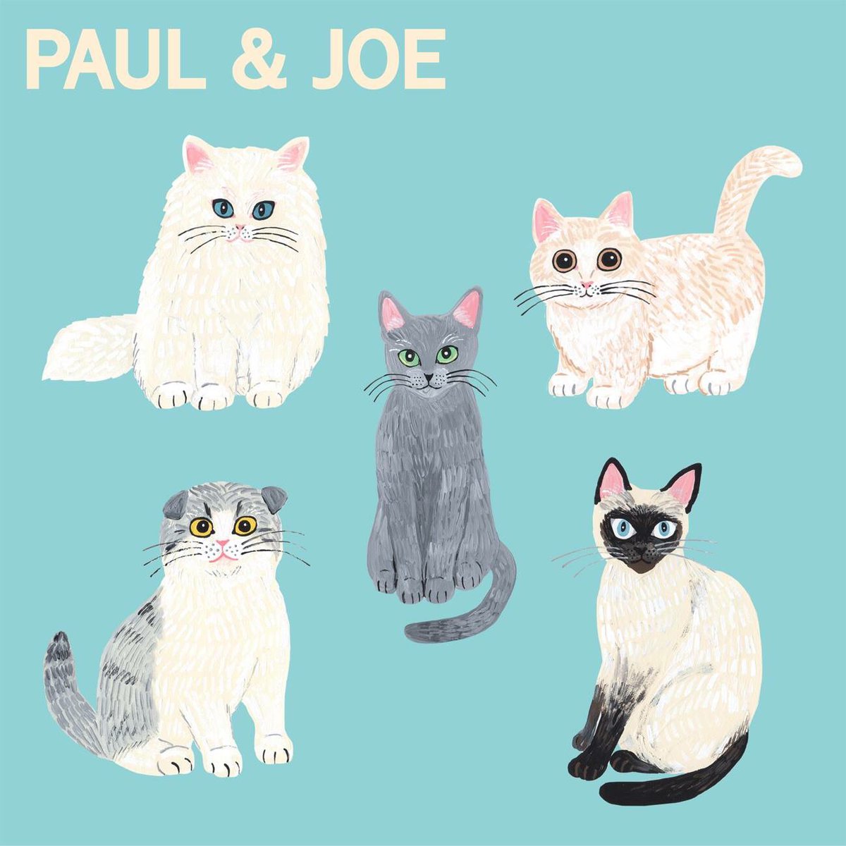 Paul Joe Beaute Jp 友達と一緒にやってみて Paul Joe 猫診断 質問に答えてあなたの 猫 タイプを診断します 人気の プライマー のサンプルの プレゼント も T Co Viob5ggdhf ポールアンドジョー ポールアンドジョー猫診断