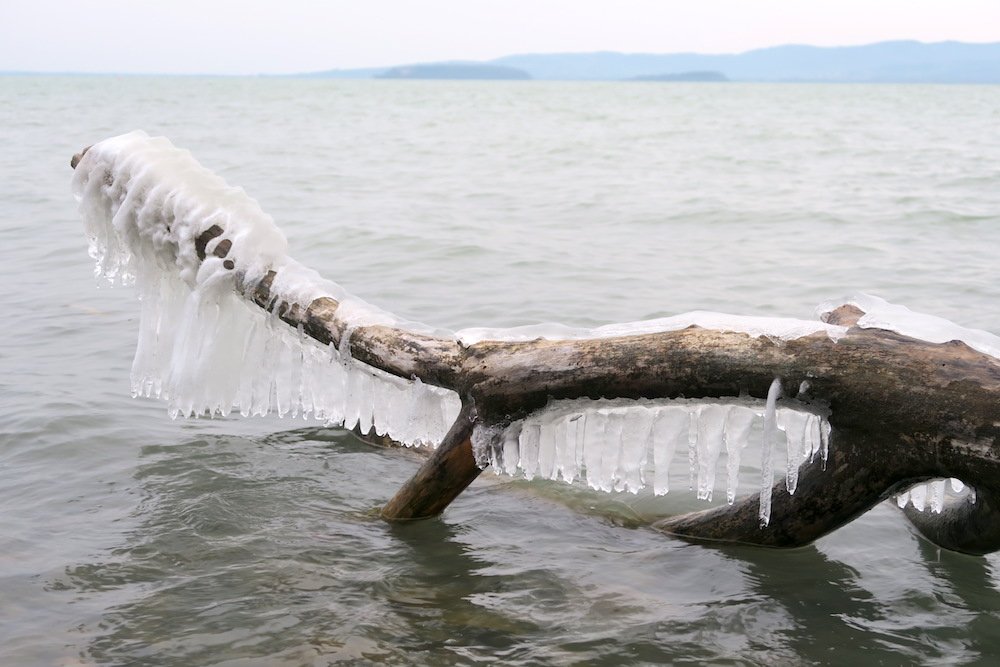 naoko_perugia's tweet photo. Vi presento Tossie, mostro del #LagoTrasimeno creato dalle sue onde e dal #gelo. #MonteDelLago #Magione (PG) #ghiaccioli #Icicles #frozenwave #Lake #Trasimeno, #Umbria, #Italy. #氷の芸術 凍れる波しぶき、#イタリア #ウンブリア #トラジメーノ湖 #氷柱 #つらら https://t.co/gCqzBAwkXQ https://t.co/HhvKlQGBec