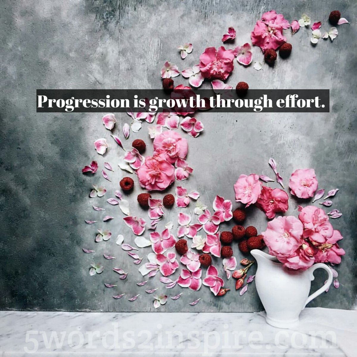 5words2inspire's tweet photo. Progression is growth through effort.
#Progess #Remembring #Heart
#BeautyIsGrowth
#Truth clarifies
#Clarification centres
#Centring emotions
Equanimity is emotional stability
@Kimberly_Braun @DenaliTrueblood https://t.co/zRYQJqQ6Qn
